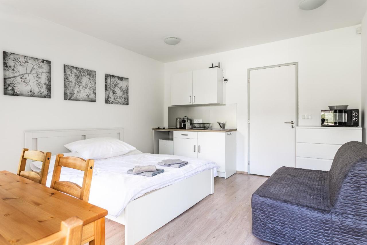 Studio Apartment Klínovec Meadows Loučná pod Klínovcem Exteriér fotografie